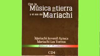 Video thumbnail of "Mariachi Los Toritos  Puño de Tierra"