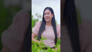Single ដល់ចាស់ - ទៀងមុំ សុធាវី - tiengmom sotheavy - khmer song
