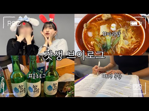 🔥첫 토익 독학 도전..! 카공하고 알바하고 술도 마시는 갓생 브이로그🔥VLOG