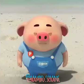 Babi nyanyi sambil joget