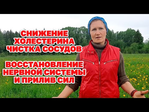 БАБУШКИНА ТРАВА/ ЭЛИКСИР ЖИЗНИ СОХРАНИТ ЗДОРОВЬЕ УКРЕПИТ ОРГАНИЗМ @natureMarusya