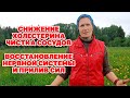 БАБУШКИНА ТРАВА/ ЭЛИКСИР ЖИЗНИ СОХРАНИТ ЗДОРОВЬЕ УКРЕПИТ ОРГАНИЗМ @О жизни и здоровье с Марусей