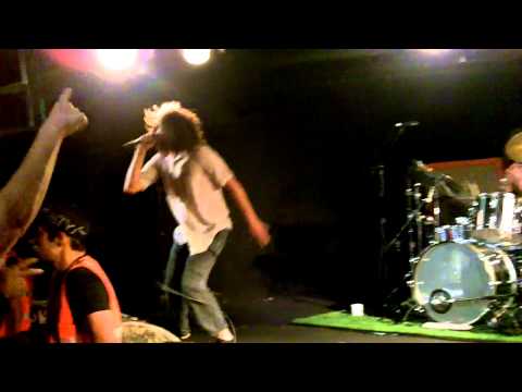 One day as a lion - Ocean View - 01/03/2011 - The ...