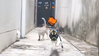 How it feels to Play CTF on Angel City