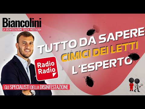 Cimici dei letti: tutto quello che devi sapere (intervento in radio dell&rsquo;esperto)