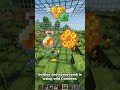 Farm Honey and Honeycomb in Minecraft Cobblemon with Combees! #cobblemon #minecraft