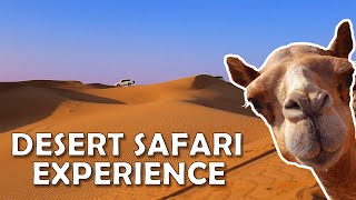 All You Need to Know About Desert Safari + Actual Dune Bashing Video