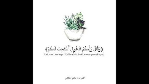 قران 🌸 | تلاوة عطرة للقارئ حاتم المالكي