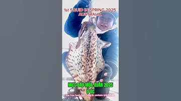 Câu mực trên cầu tàu gần bờ đầu mùa xuân 2025 #jettyfishing #squidfishing #squid #caumuc