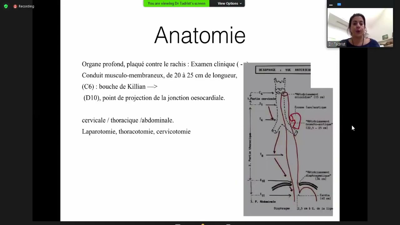 #Gastro 06.Cancer de l'œsophage