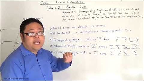 Plane Geometry  Angles on Parallel Lines   Sky Academy