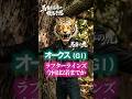 【オークス 競馬予想 Vol 1】馬券生活者の競馬予想