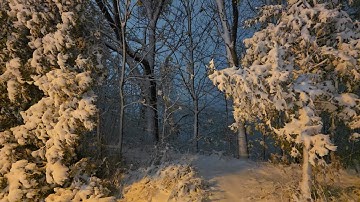 ❄️ Montreal winter snowfall 🌨️ Monday, November 10, 2025 - evening snowy walk 🌃