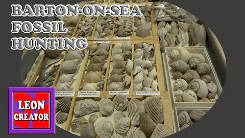 UK FOSSILS - Barton-On-Sea!!! - with Leon Hills - LEON CREATOR