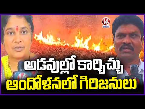 Tribals In Tension Due To Forest Fires In Warangal, Farmer Facing Crops & Vegetation Loss | V6 News - V6NEWSTELUGU