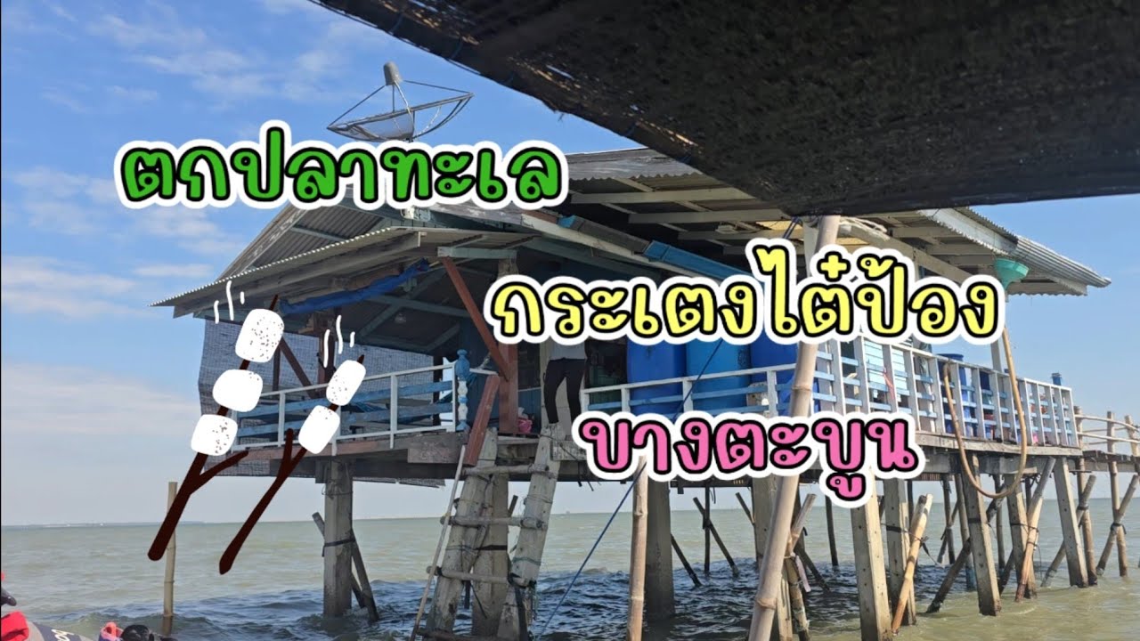 173. กระเตงไต๋ป้อง บางตะบูน |ครอบครัวติดบ่อ