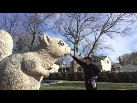 "That guy" feeds that squirrel
