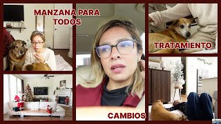 MY LIFE WITHOUT HIM... I WANT TO FEEL BUTTERFLIES AGAIN... I ALREADY MISS HIM SO MANY DAYS. Content