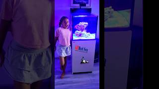 Max Nano G2 Xl Rocks & Salt