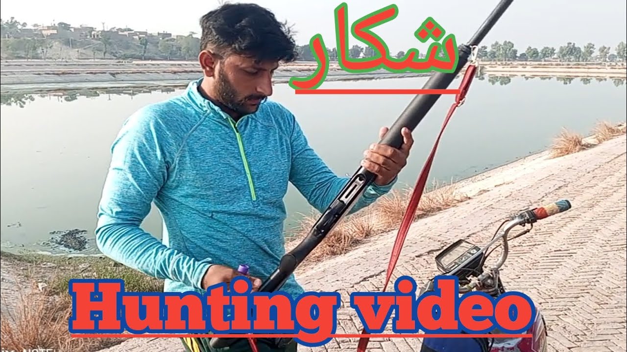 Duck hunting 2026 | dove hunting in Pakistan | dove hunting 2026| UK USA | hunting video |duck hunt