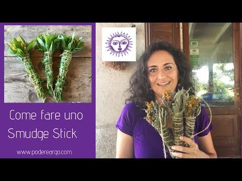 Video: Lavender Mint Family - Coltivazione di erbe aromatiche alla lavanda