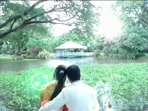 All or Nothing at All Video