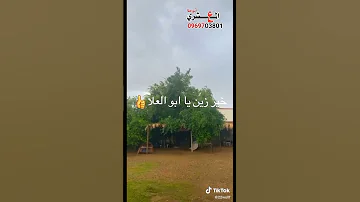 ابراهيم ود العليش حاله واتساب خير زين يا ابو العلا 