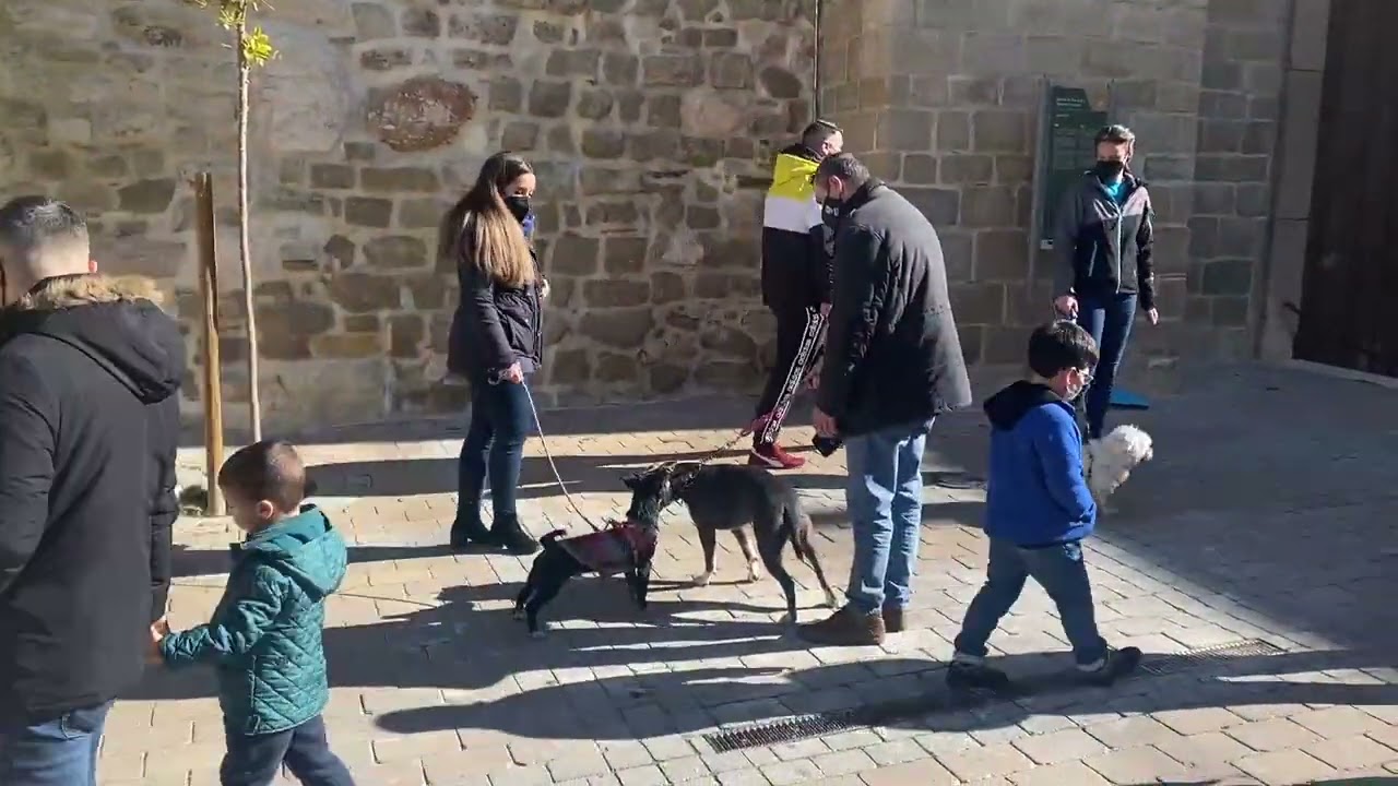 Bendición de las mascotas en San Antón 2022