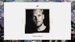 Avicii   Excuse Me Mr Sir (Lyric Video) ft.  Vargas &amp; Lagola