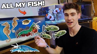 ALL MY FISH & RARE EXOTIC ANIMALS!!! (dorm room tour)