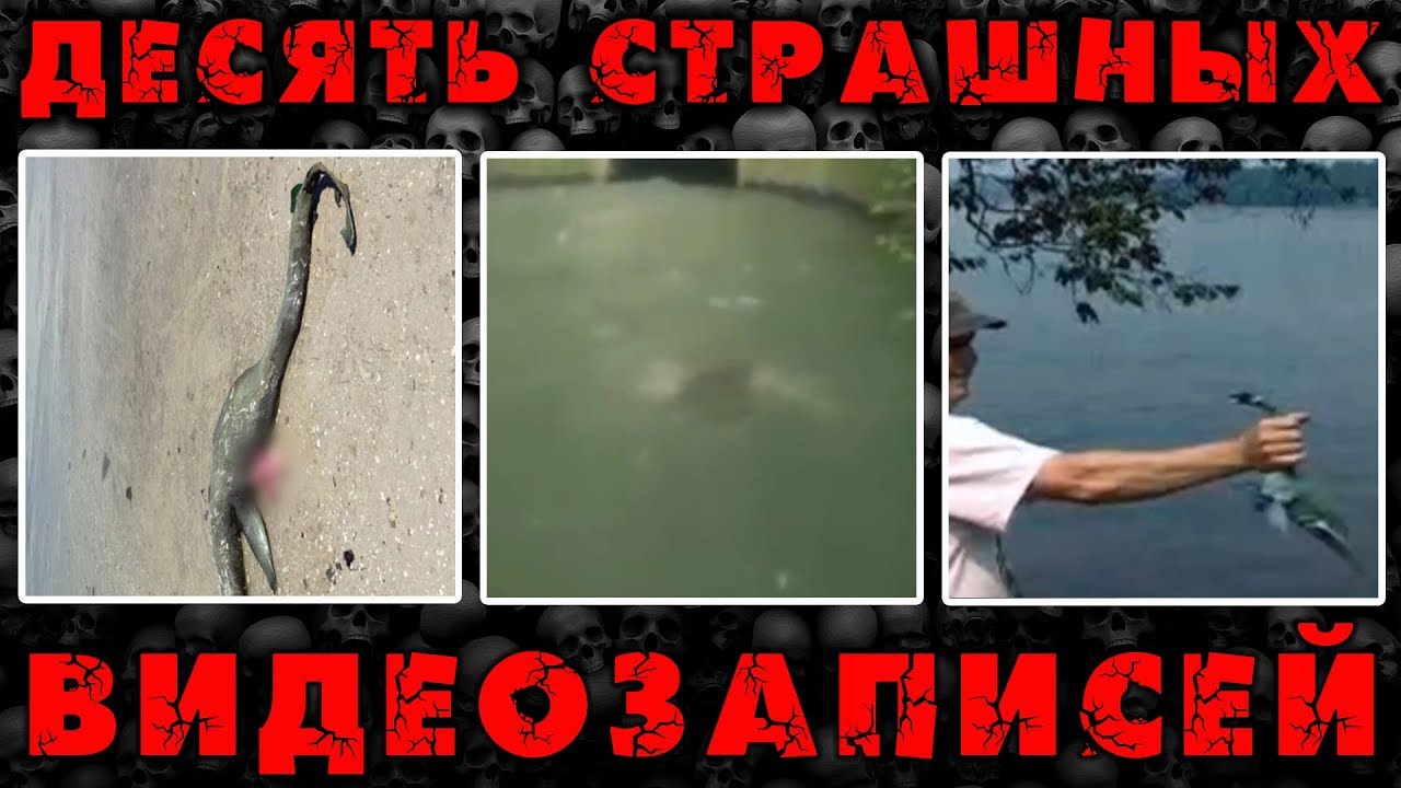 Монстры оки видео