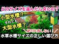 水草水槽サイズの正しい選び方「初心者は６０cm水槽？それとも９０cm水槽？」〜ADAネイチャーアクアリウム立ち上げ、小型水槽、大型水槽レイアウト、