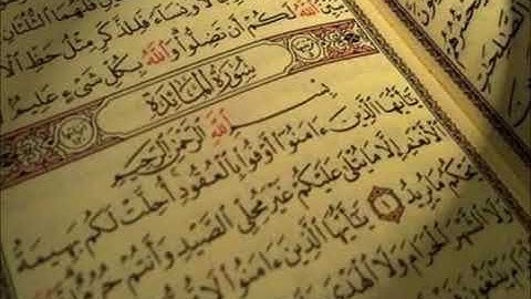 سورة المائدة كامله بصوت ادريس ابكر تلاوة هادئه جدا  اصدار جديد