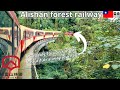 Alishan forest railway in taiwan from chiayi to alishan via fenqihu a beautiful railway journey