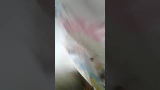 Mi Pesiosa Perra De Amor Te Quier Dsdsdss