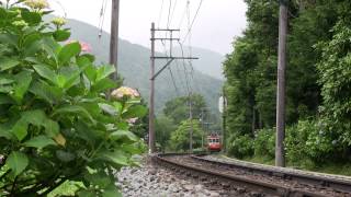 箱根紫陽花探訪 箱根登山鉄道 二ノ平周辺 108+110 下り