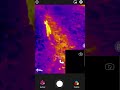 InfiRay P2 Pro Thermal Camera Capabilities At Night Hunting Camera 