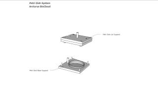 Copy of Petridish system explanation