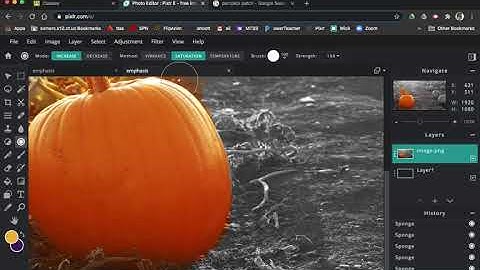 Create a Color Splash Effect using the Sponge Tool in Pixlr