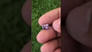 NVP213 - Burgundy Sapphire