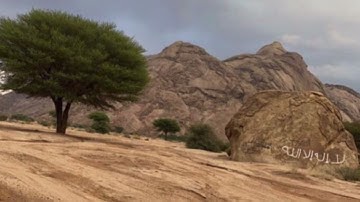((ان الله وملائكته يصلون على النبي ))  القارئ — محمد حسين عامر