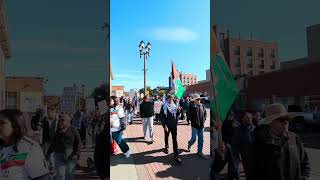 Rally for Free Palestine in Canada#yeg #edmonton #canada #freepalestine palestine #gaza #flotilla