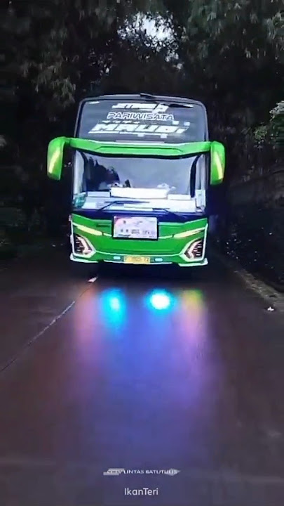Telolet Basuri Marsha Bus MAUDI Fadel #shorts #telolet #basuri #busmania #maudi #asyrof #viral #fyp