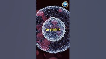 Hope for Cancer Cure #shorts