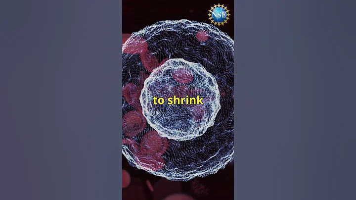 Hope for Cancer Cure #shorts