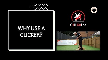 Using a Clicker or Marker Word in your Training and Why