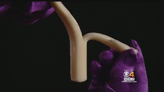 Phantom Gourmet String Cheese Taste Test