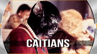 CAITIAN: Cultural Index