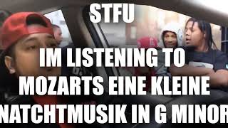 STFU IM LISTENING TO MOZARTS EINE KLEINE NACHTMUSIK IN G MINOR
