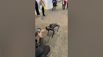 CES2023 UC Berkeley Playful Robotic Dog